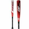 Marucci CAT 8 Composite (-10) USSSA Baseball Bat: MSBCCP10 -Cheap Baseball Bats Store 2019 Marucci CAT 8 Composite 10 USSSA Baseball Bat MSBCCP10